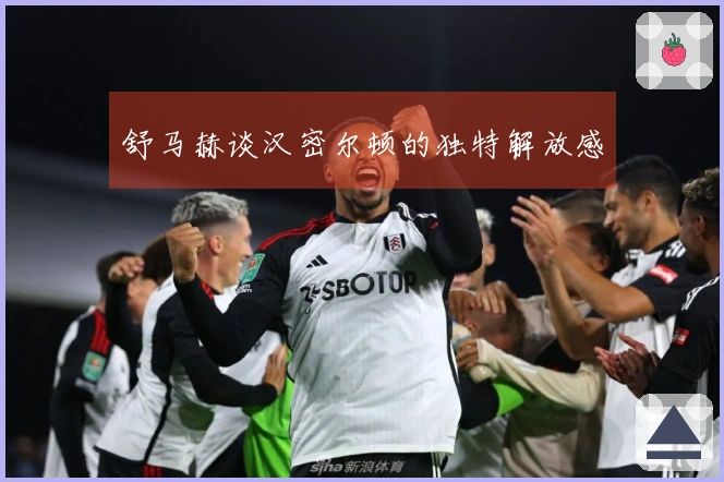 舒马赫谈汉密尔顿的独特解放感